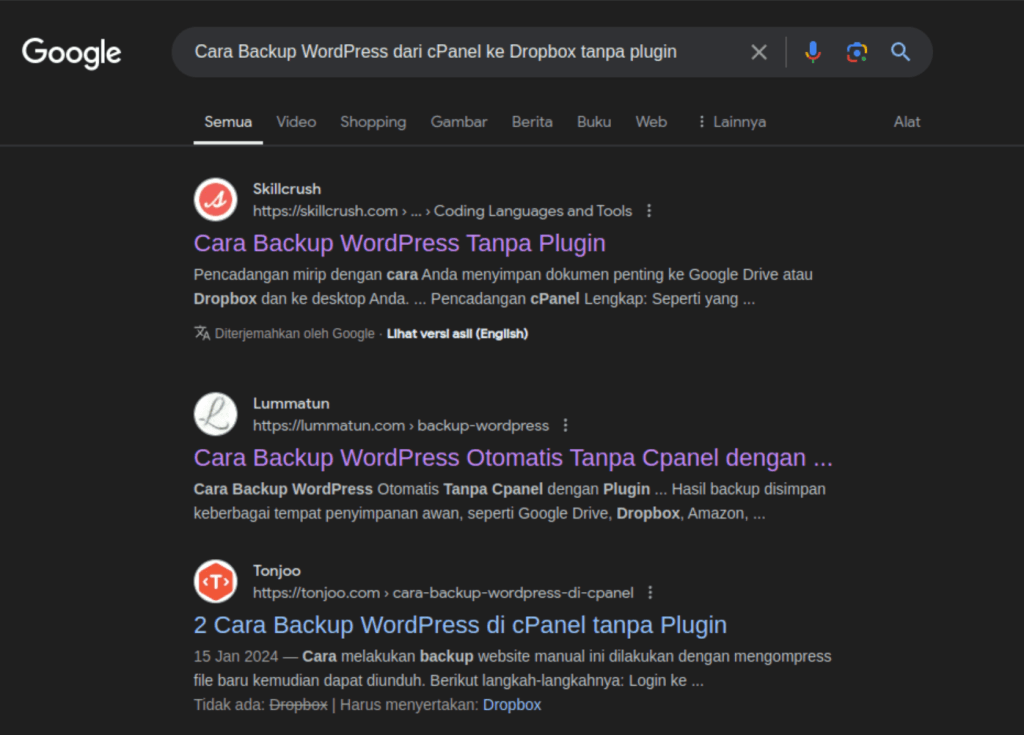 SERP google yang ngaco